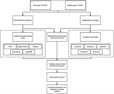 Development of an artificial intelligence-based multimodal model for assisting in the diagnosis of necrotizing enterocolitis in newborns: a retrospective study